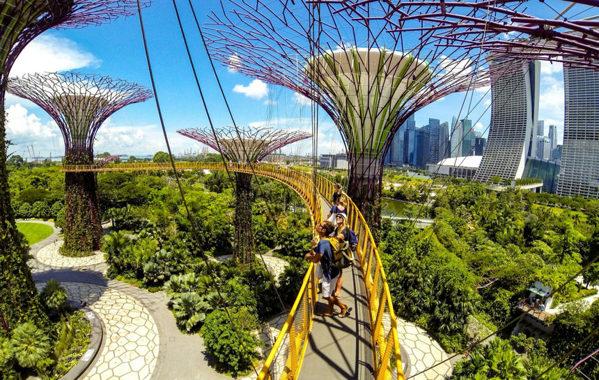 Сады у залива (Gardens by the Bay) в Сингапуре